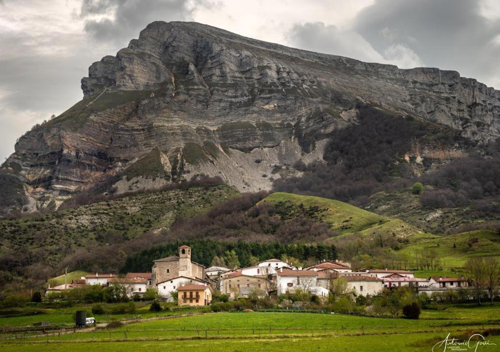 Photo of Others in Ergoiena