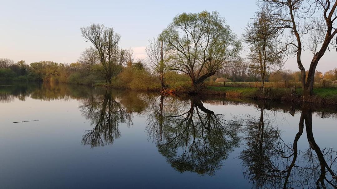 Photo of Others in Region Hannover District