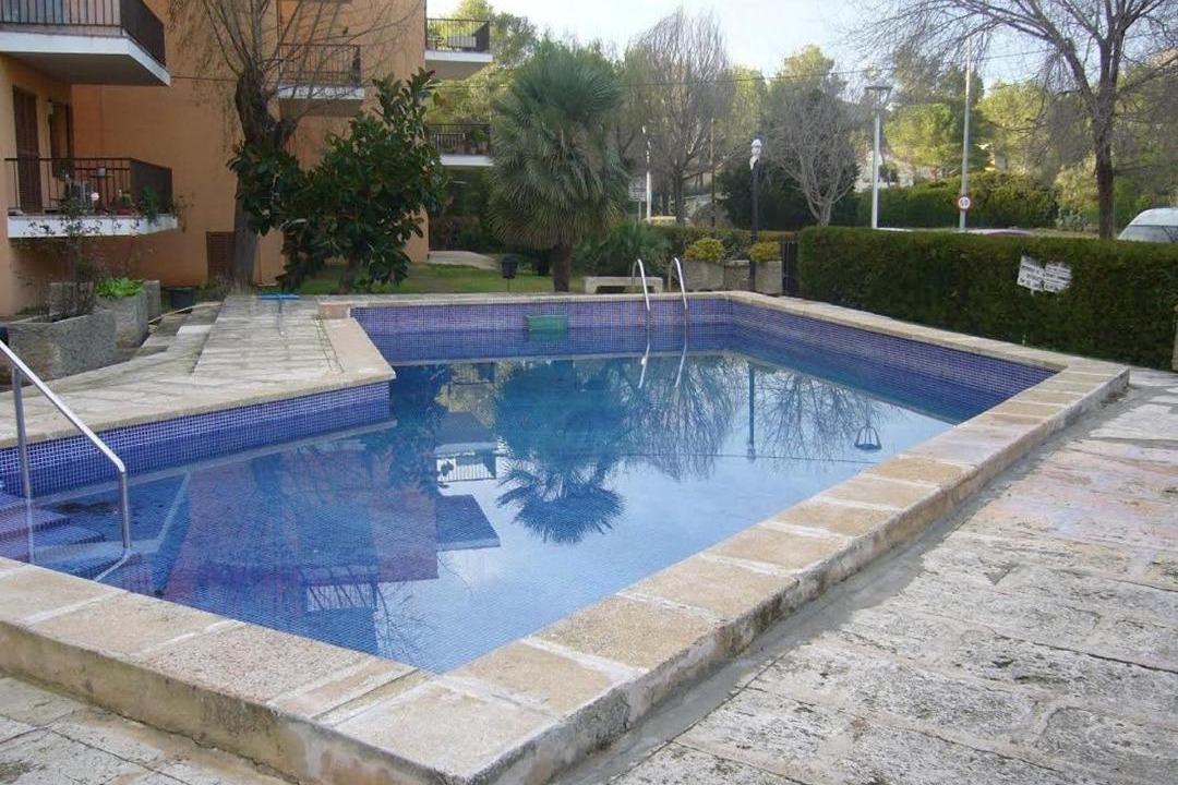 Photo of Others in Puerto de Pollensa