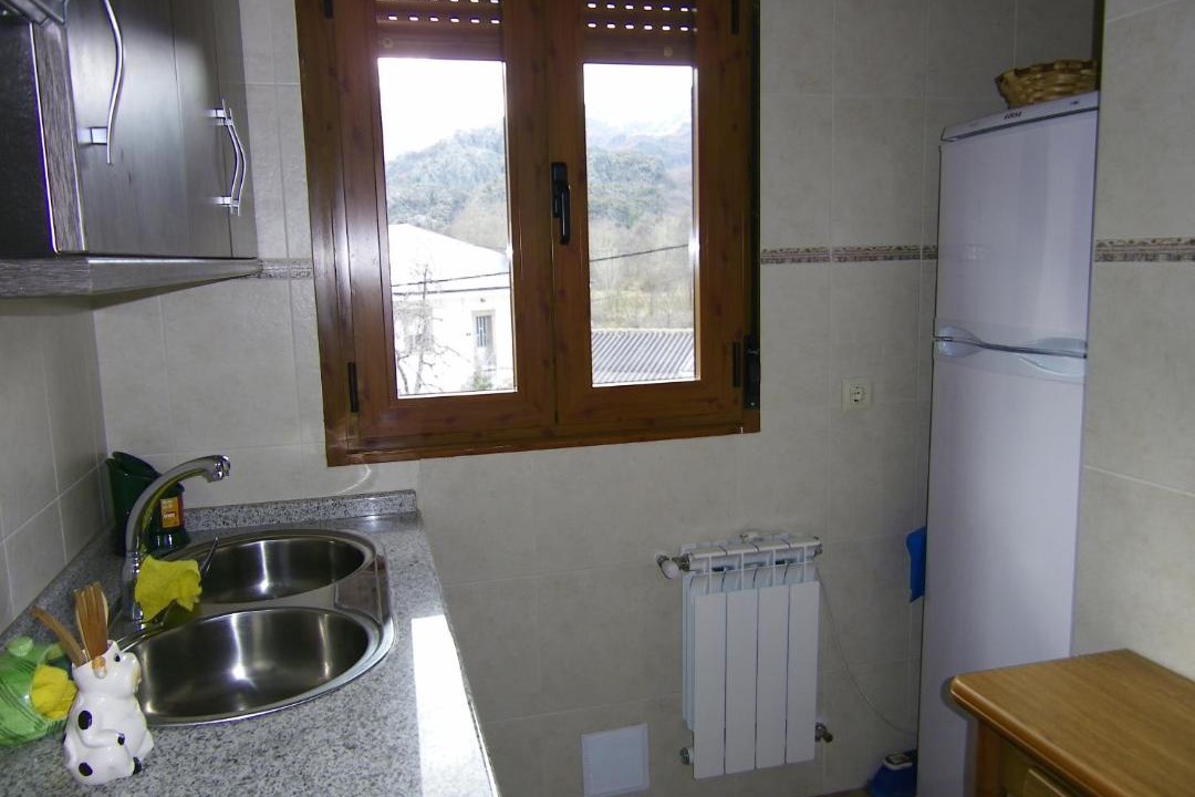 Photo of Kitchen in Ribadelago