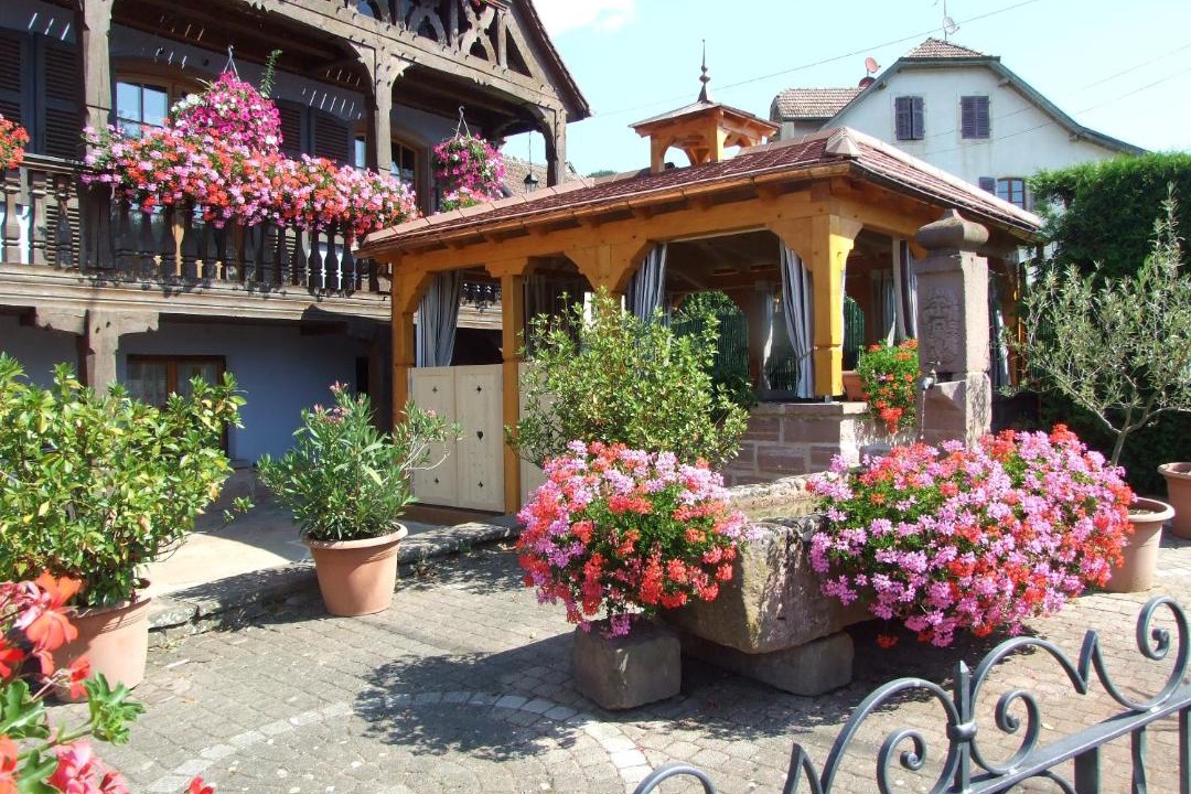 Photo of Others in Triembach-au-Val