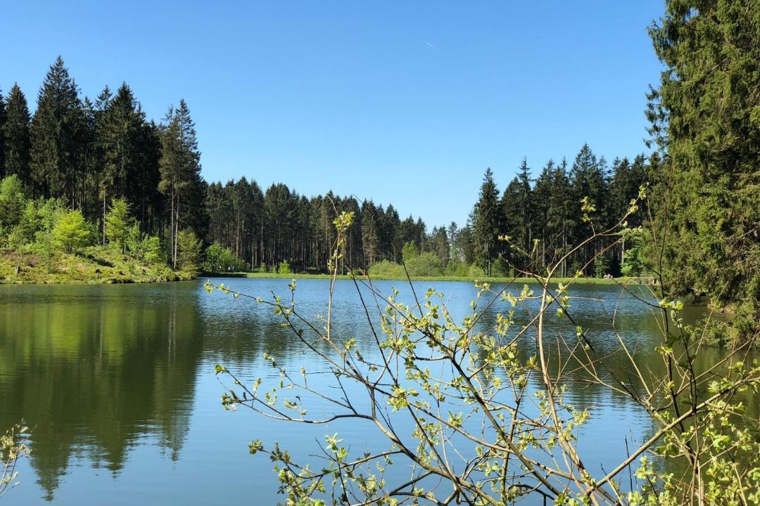 Photo of Outdoor in Hahnenklee