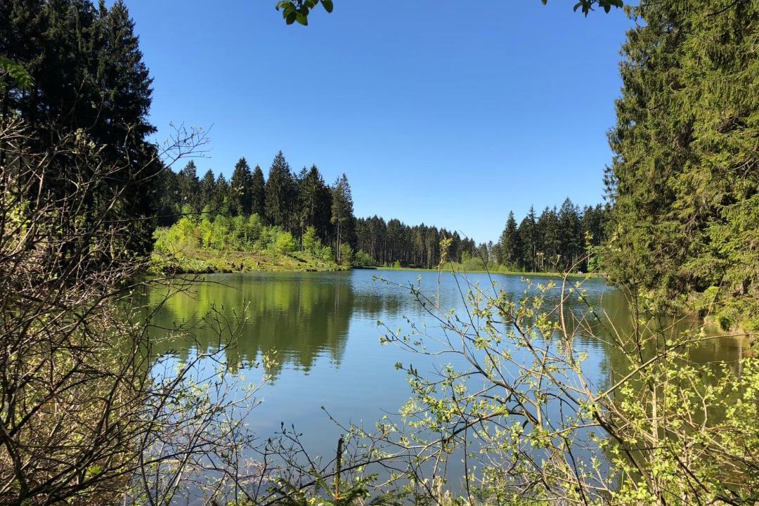 Photo of Outdoor in Hahnenklee