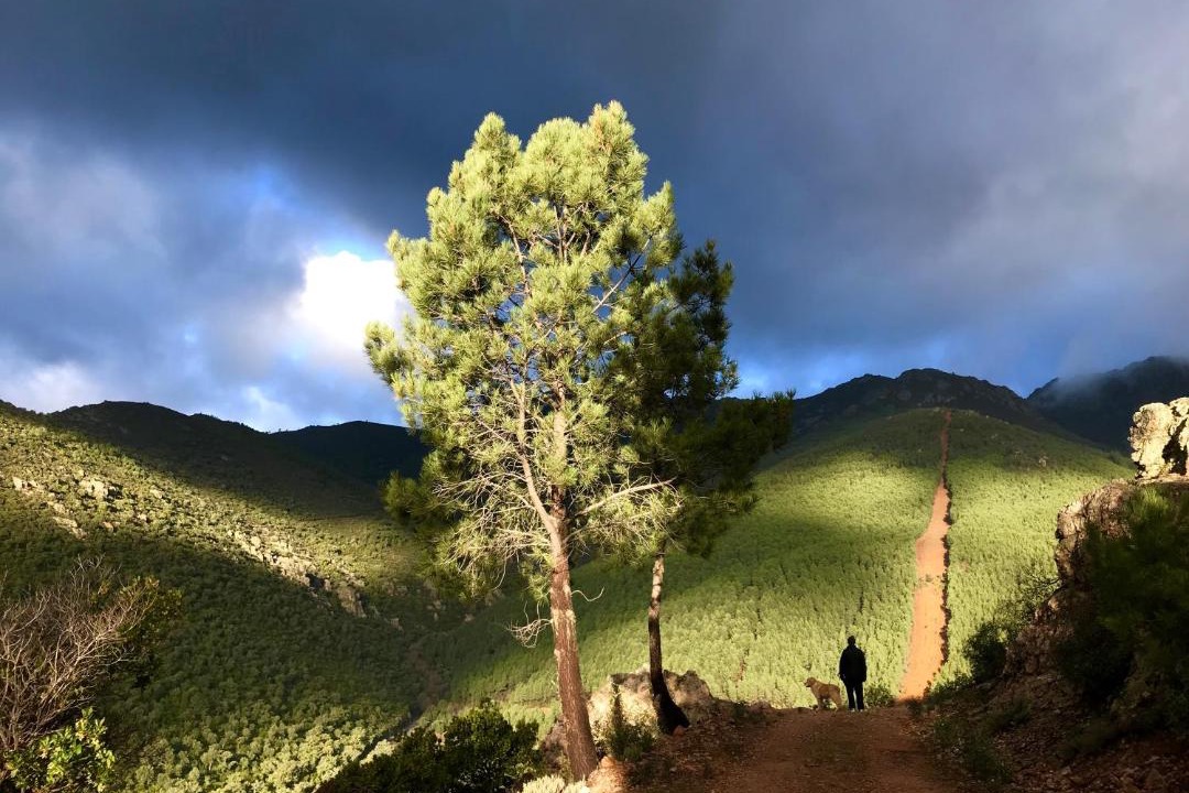 Photo of Others in Herguijuela de la Sierra