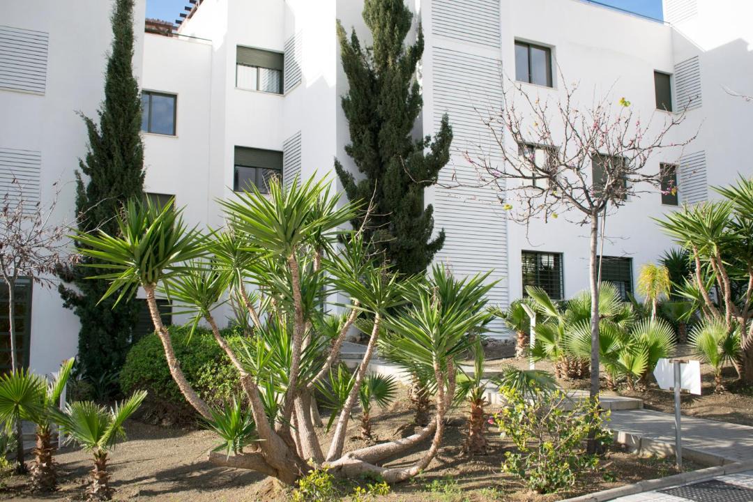 Photo of Buildings in Nerja