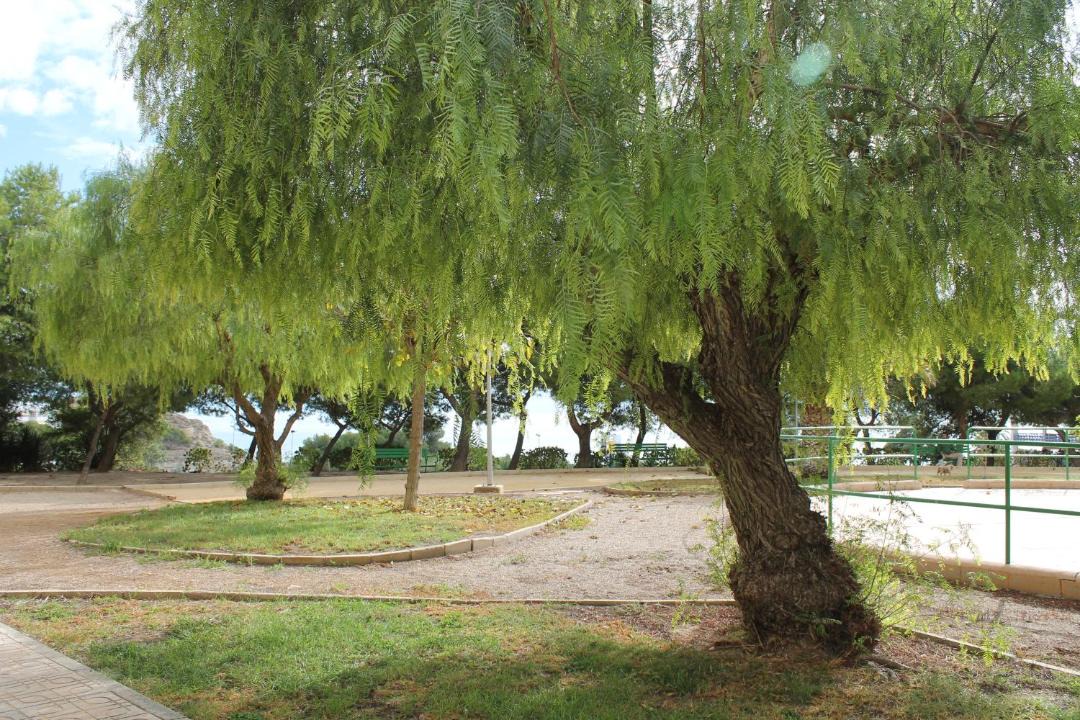 Photo of Outdoor in Villajoyosa