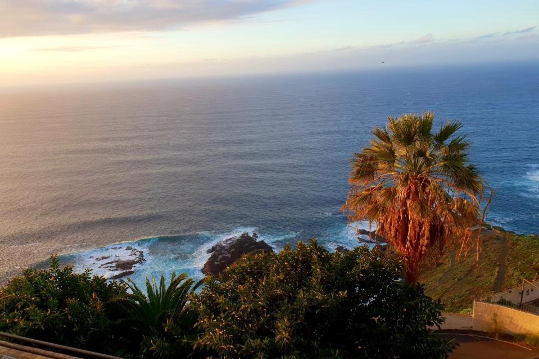 Photo of Outdoor in Tacoronte