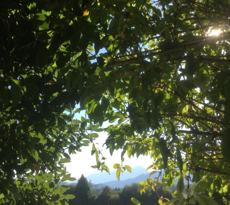 Photo of Others in Saint-Girod