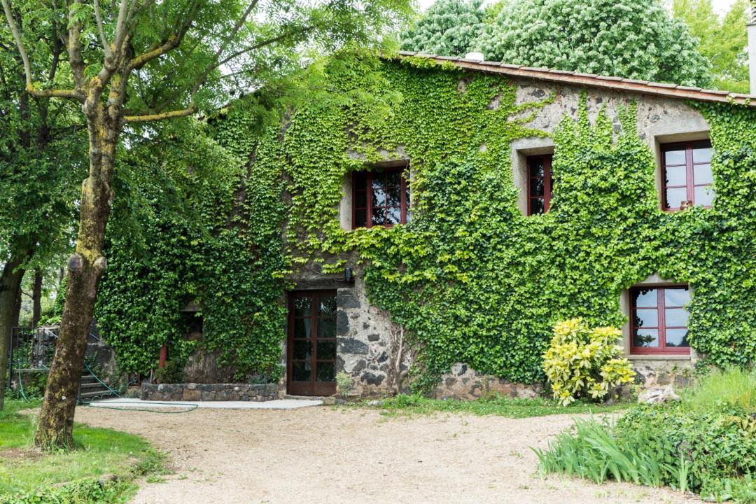 Photo of Others in Olot