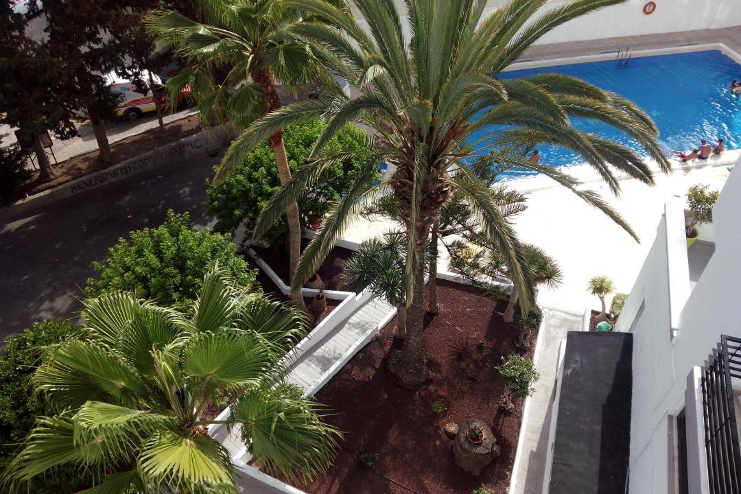 Photo of Others in Los Cristianos