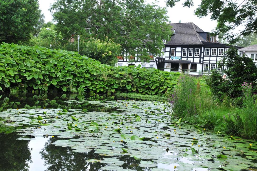 Photo of Others in Harpstedt