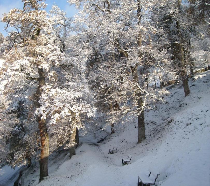 Photo of Others in Arantzazu