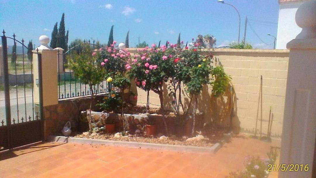 Photo of Patio Balcony in Orgaz