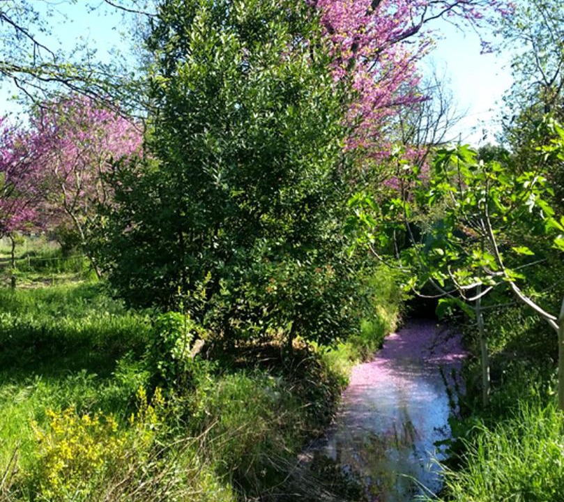 Photo of Outdoor in Santa Cruz