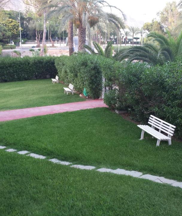 Photo of Others in Aguadulce