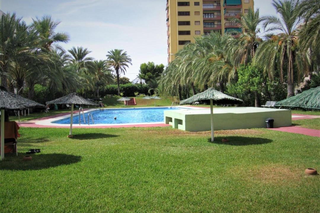 Photo of Outdoor in Aguadulce
