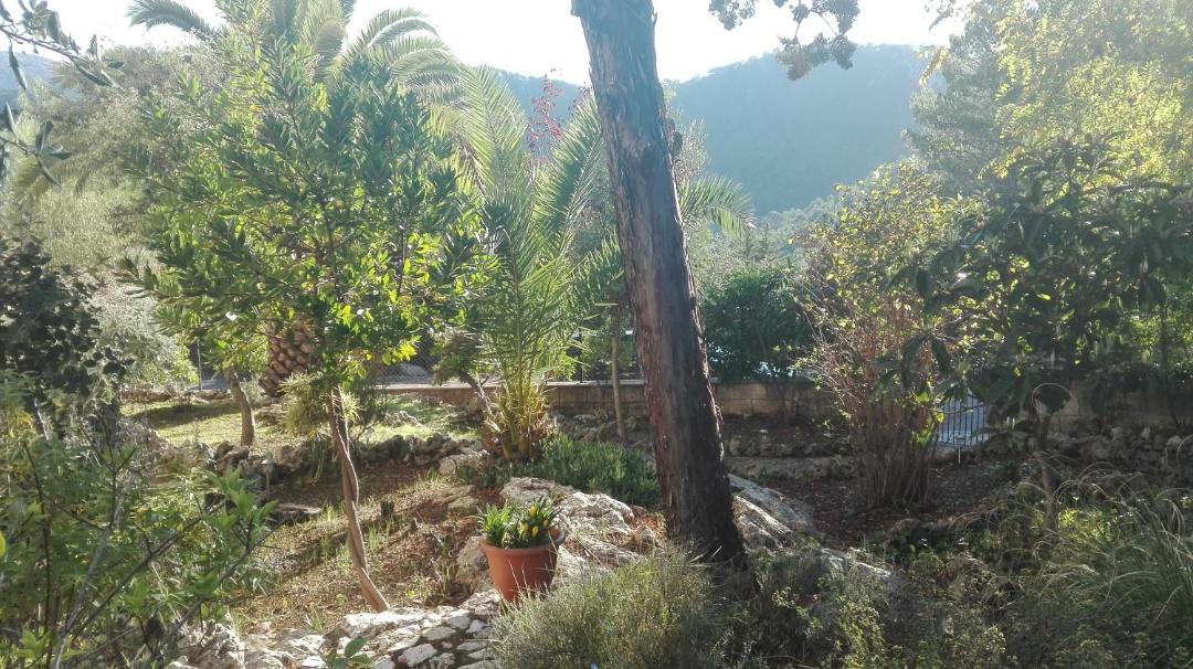 Photo of Outdoor in Lluc