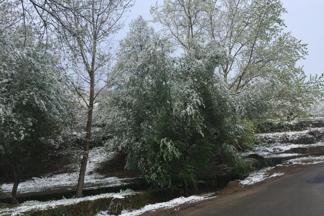 Photo of Outdoor in Casas del Castanar