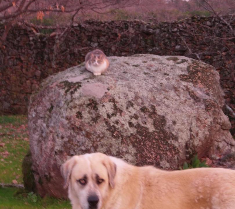 Photo of Others in Valverde de la Vera