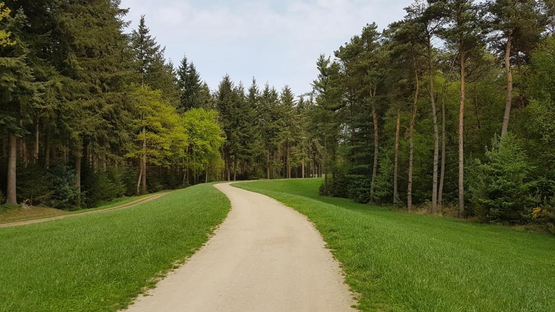 Photo of Outdoor in Petersfeld