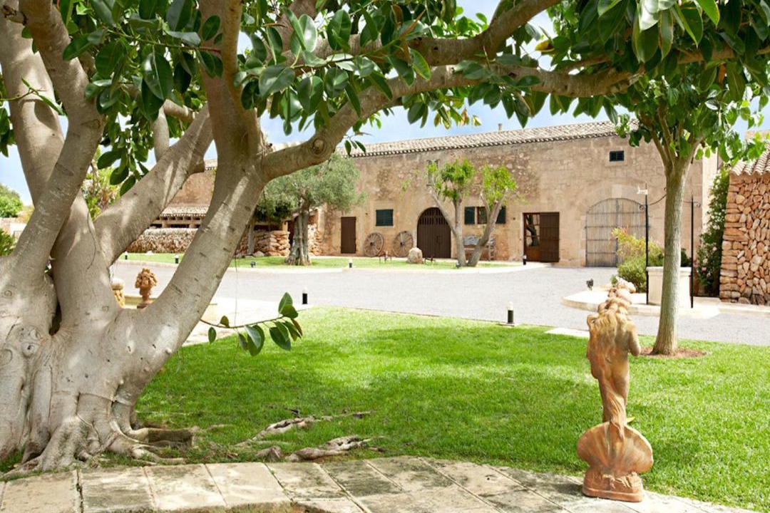 Photo of Others in Son Antem
