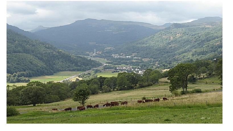 Photo of Others in Laveissiere