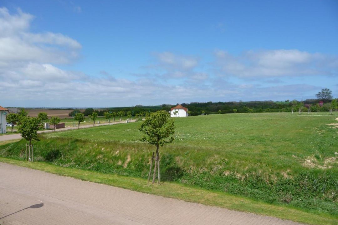 Photo of Others in Neddesitz