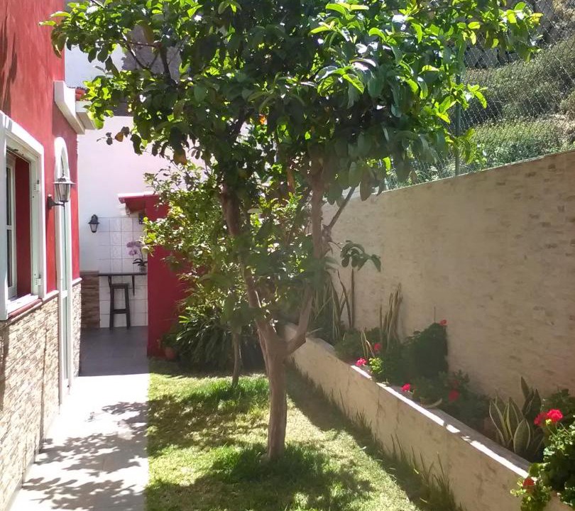 Photo of Buildings in Los Realejos