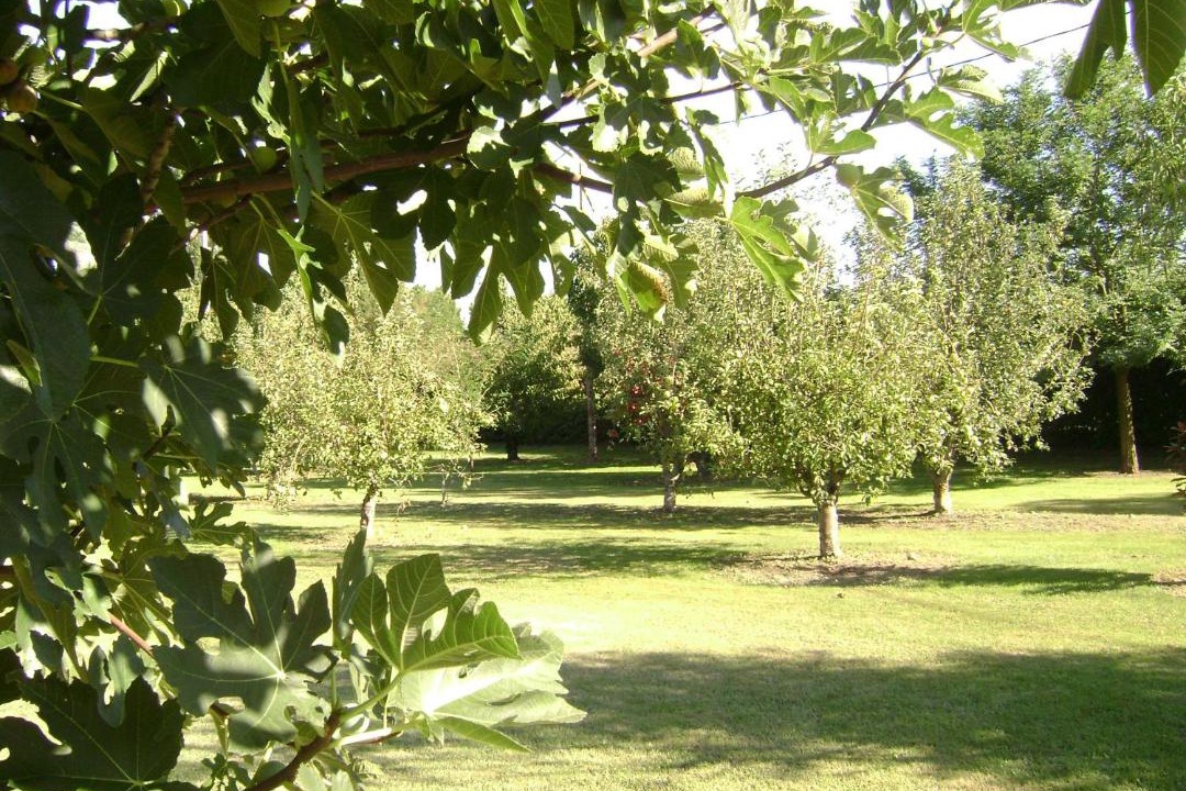 Photo of Outdoor in Saint-Andiol