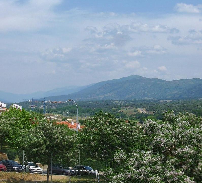 Photo of Others in Plasencia