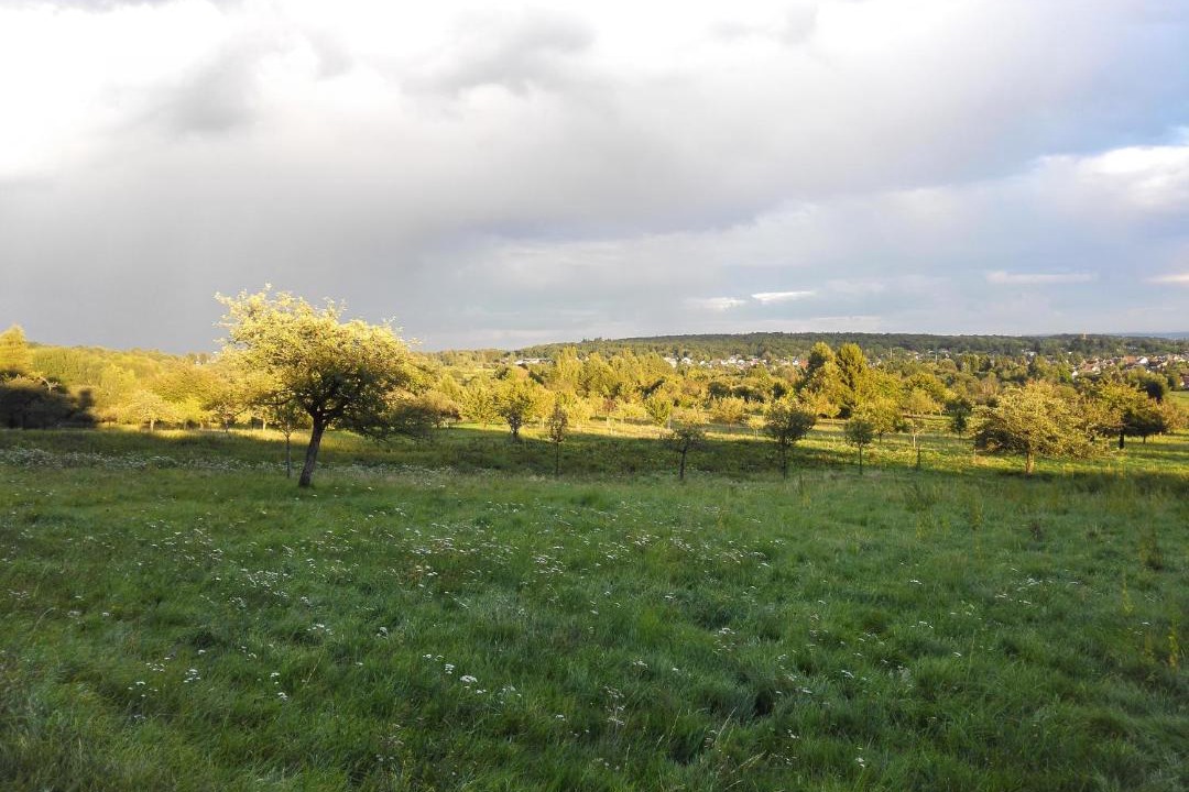 Photo of Outdoor in Bad Homburg v.d. Hoehe