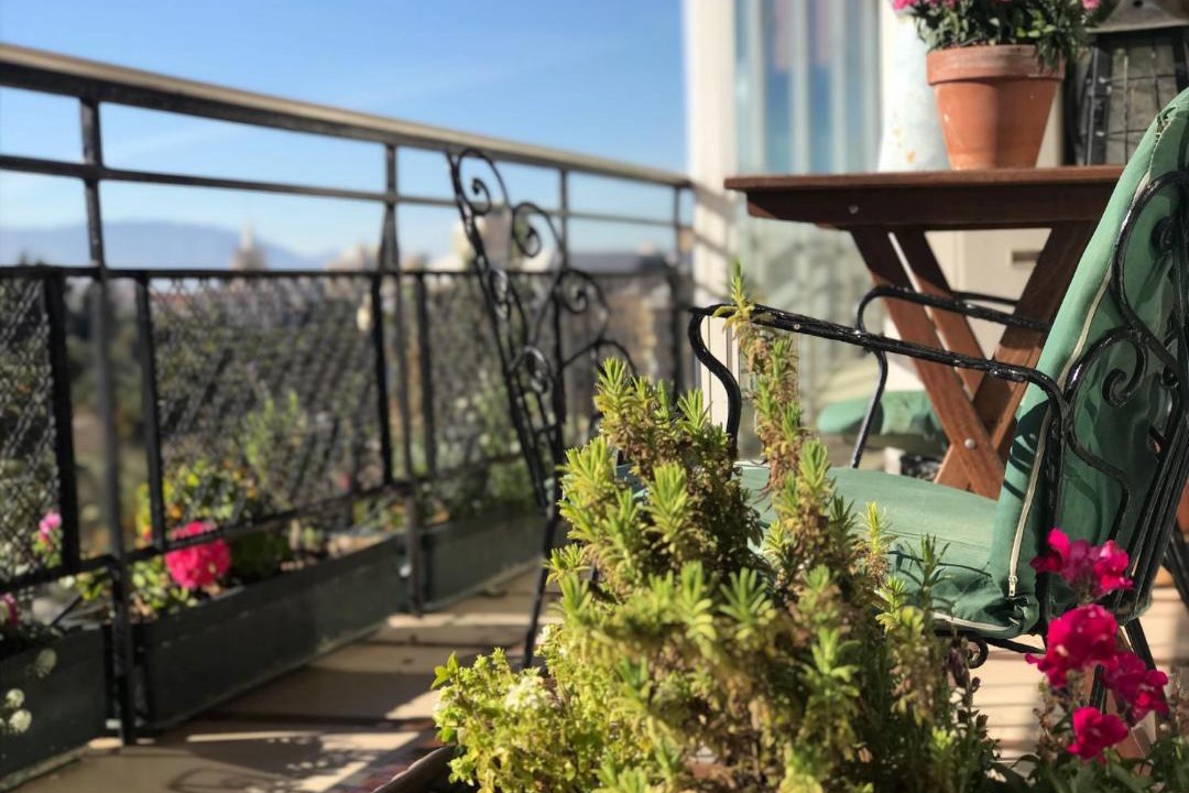 Photo of Patio Balcony in Campos Eliseos
