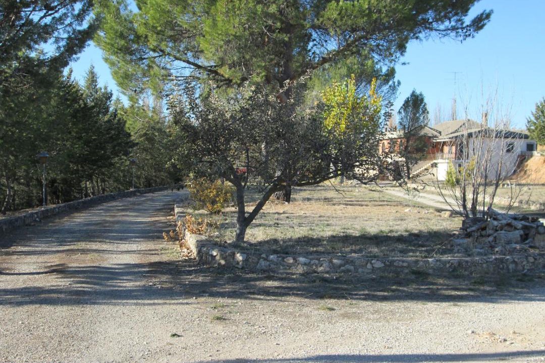 Photo of Others in Cifuentes
