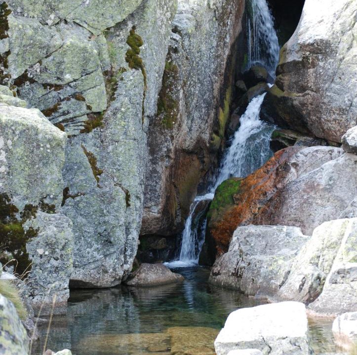 Photo of Others in Navalguijo