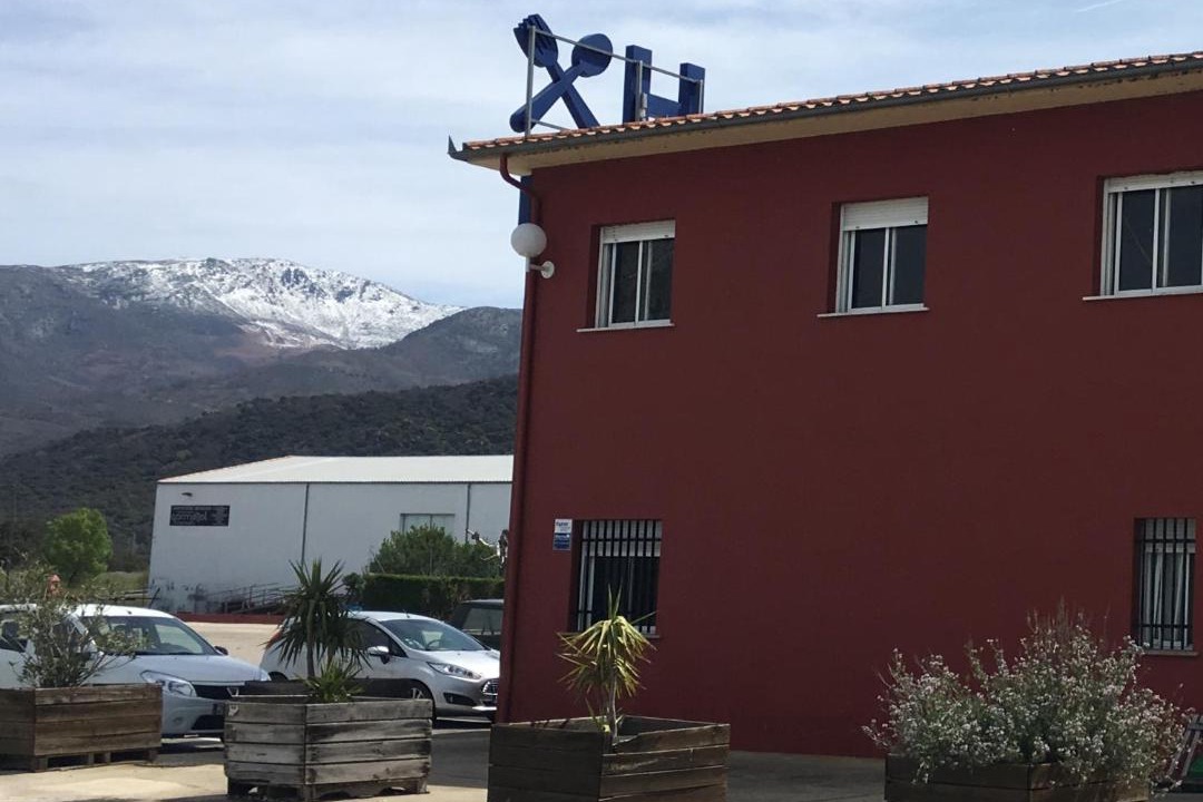 Photo of Others in Jarilla
