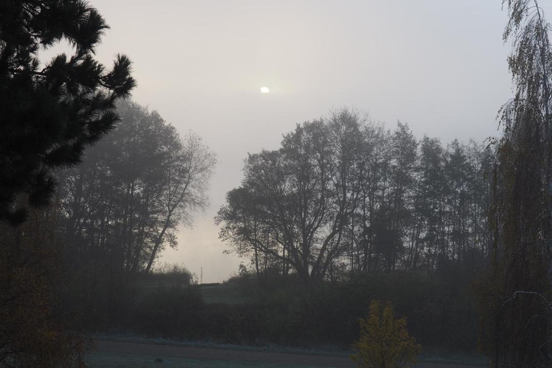 Photo of Others in Ploen