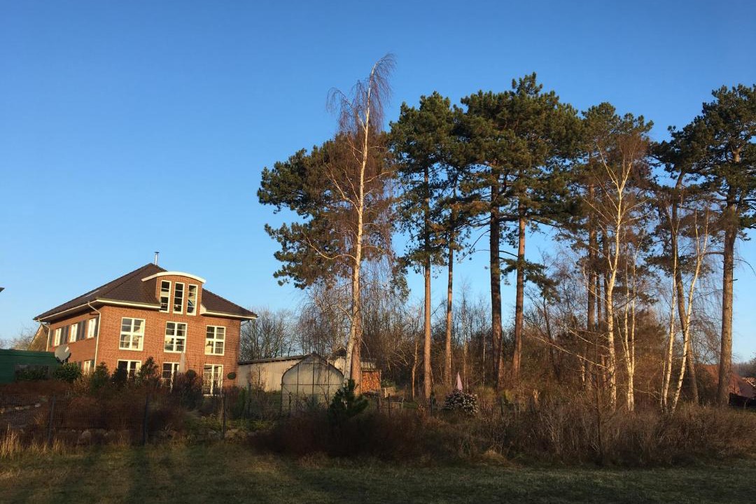 Photo of Others in Ploen