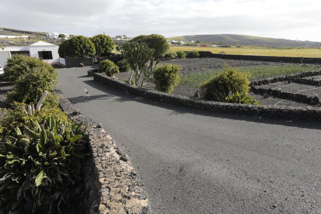 Photo of Others in Teguise