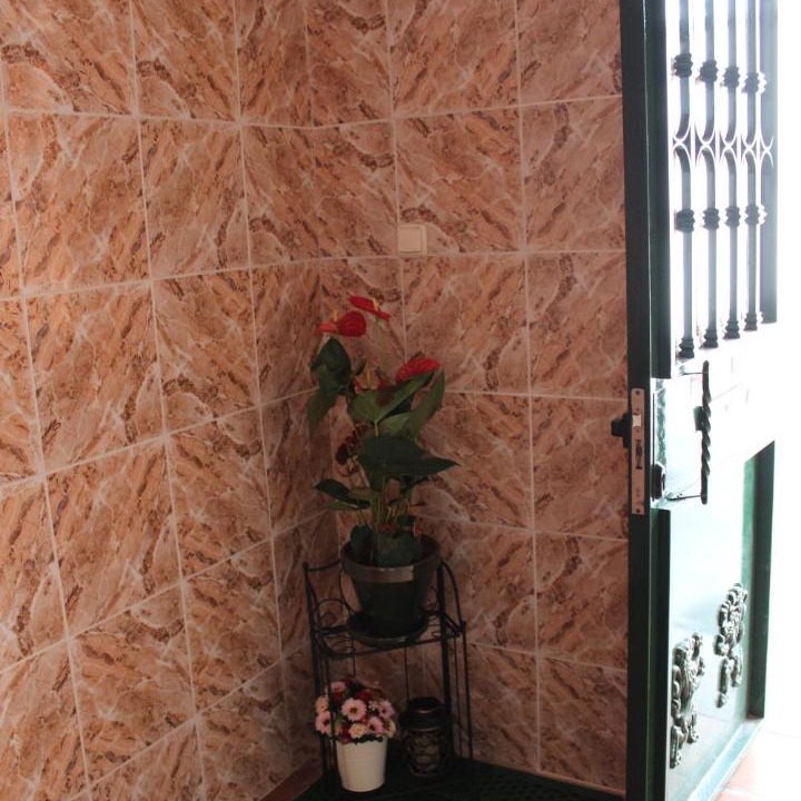 Photo of Others in Guadalajara