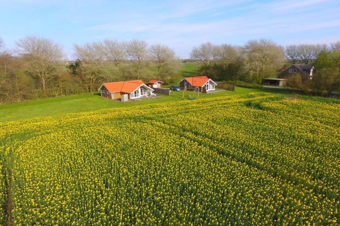Photo of Others in Fedderswarf