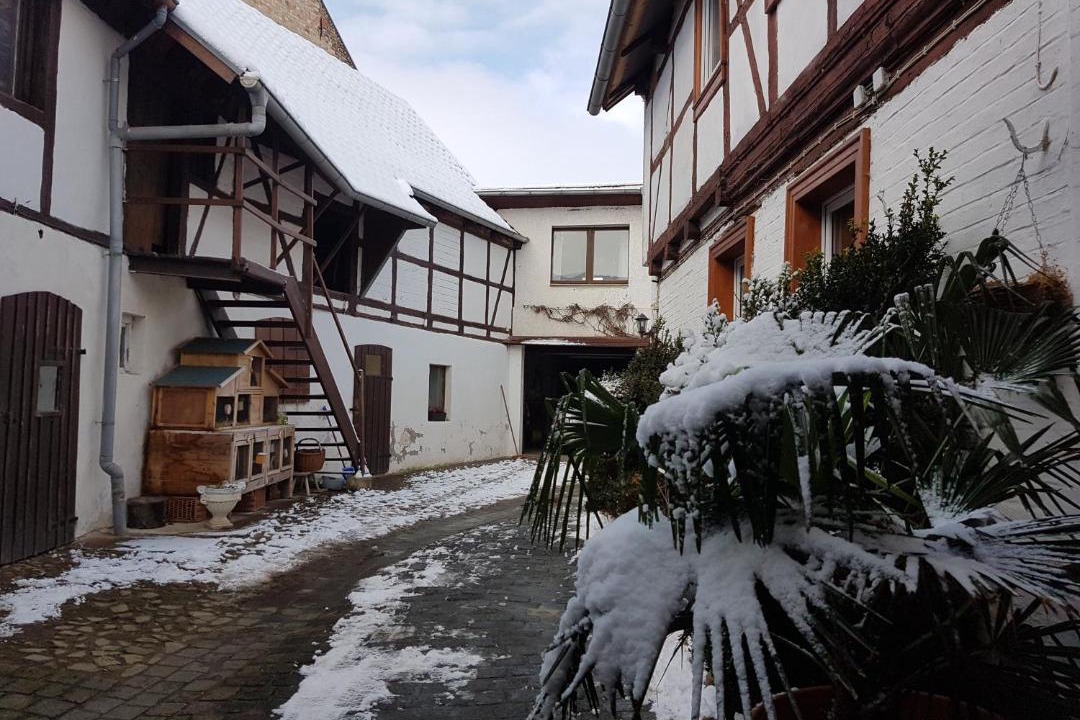 Photo of Others in Westerhausen