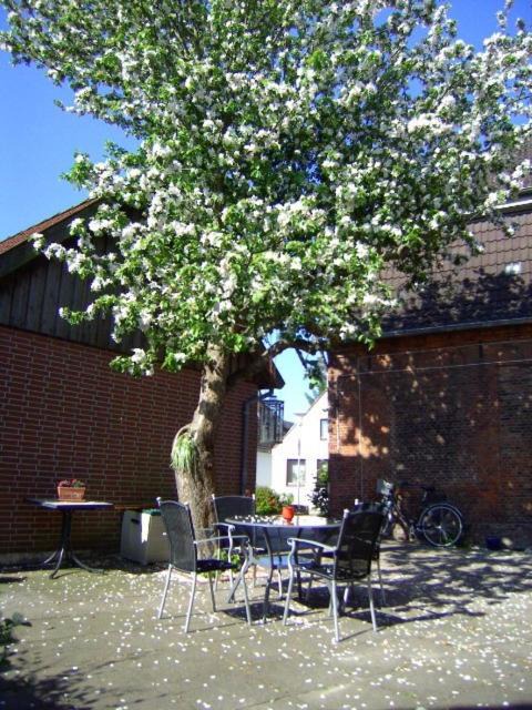 Photo of Buildings in Meldorf