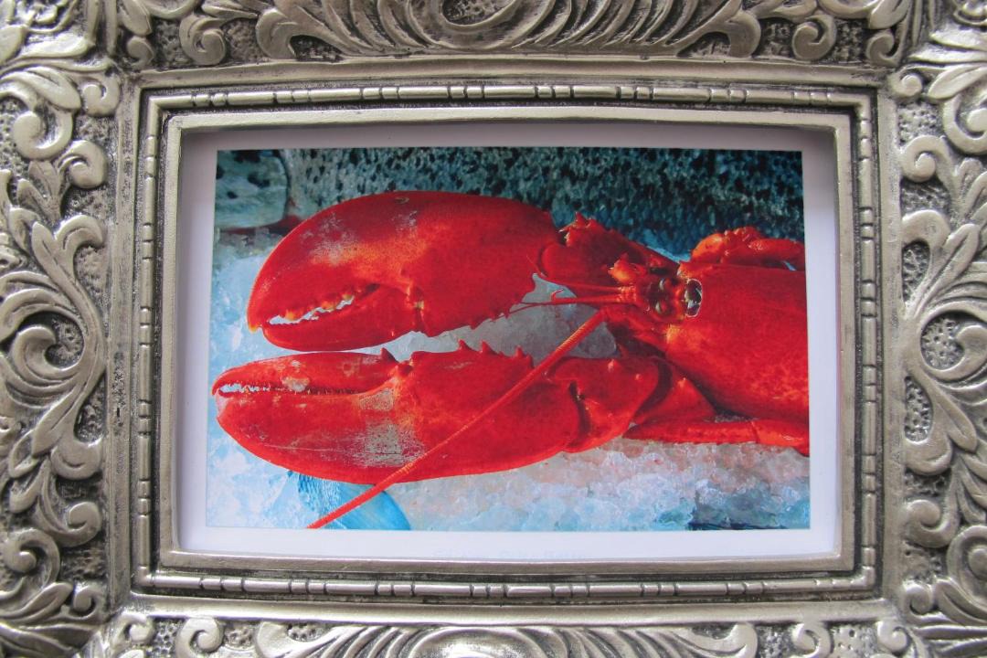 Photo of Human In Picture in Großmorsum