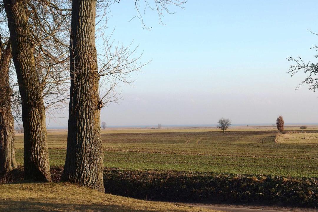 Photo of Others in Stolpe auf Usedom