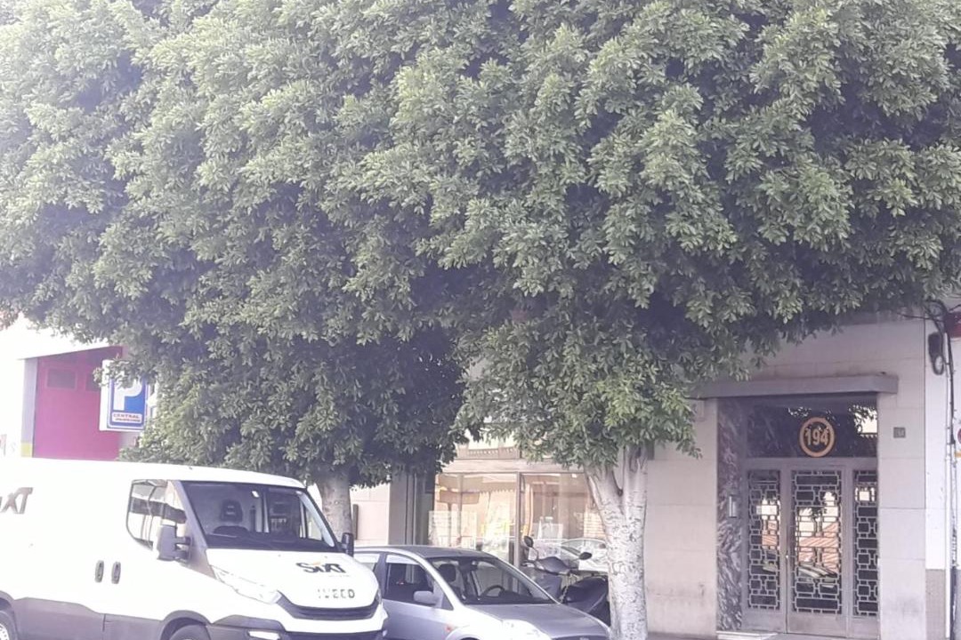 Photo of Others in Arrancapins