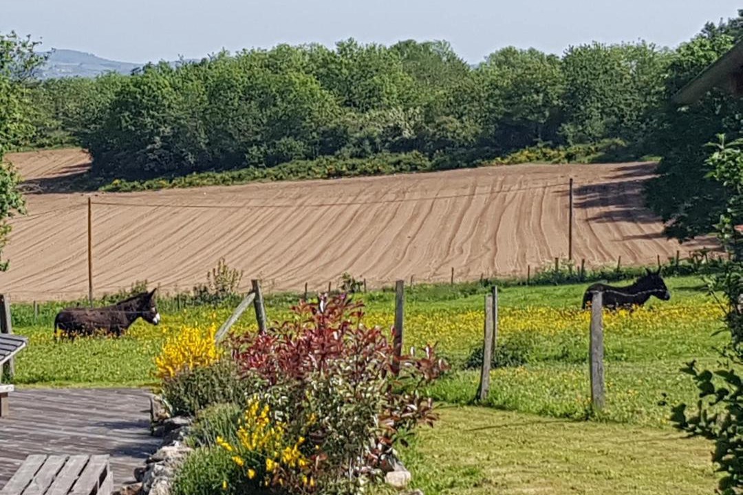 Photo of Others in Saint-Marcel-dʼUrfe