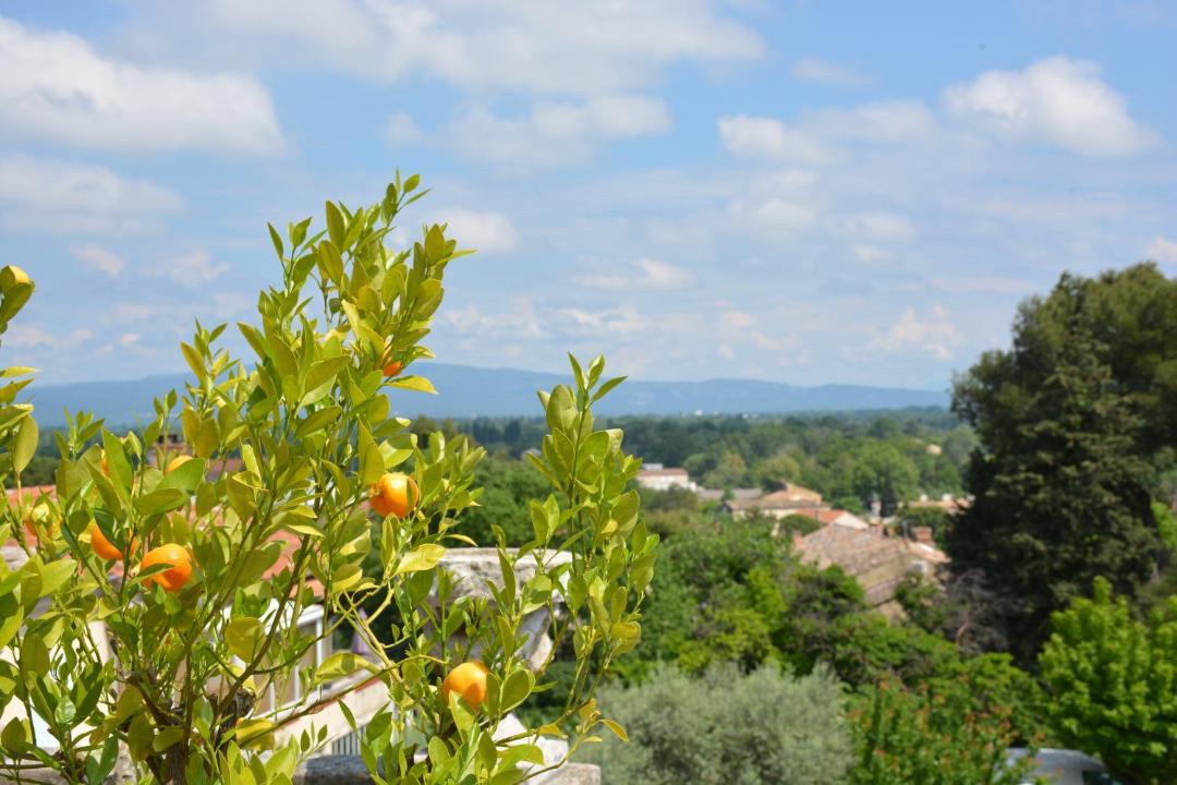 Photo of Others in Chateauneuf-de-Gadagne