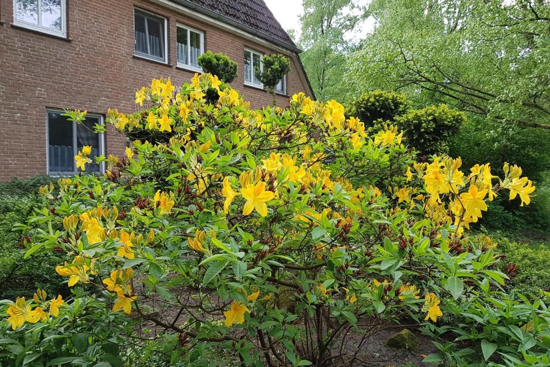 Photo of Outdoor in Oberhaverbeck