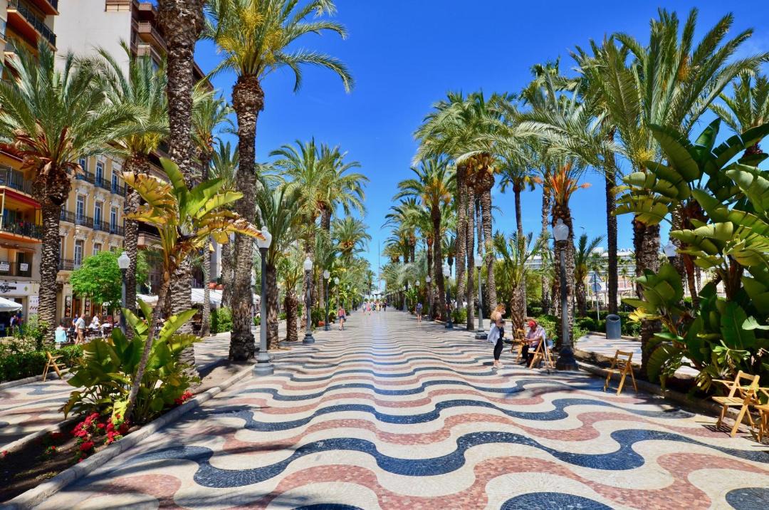 Photo of Others in Alicante