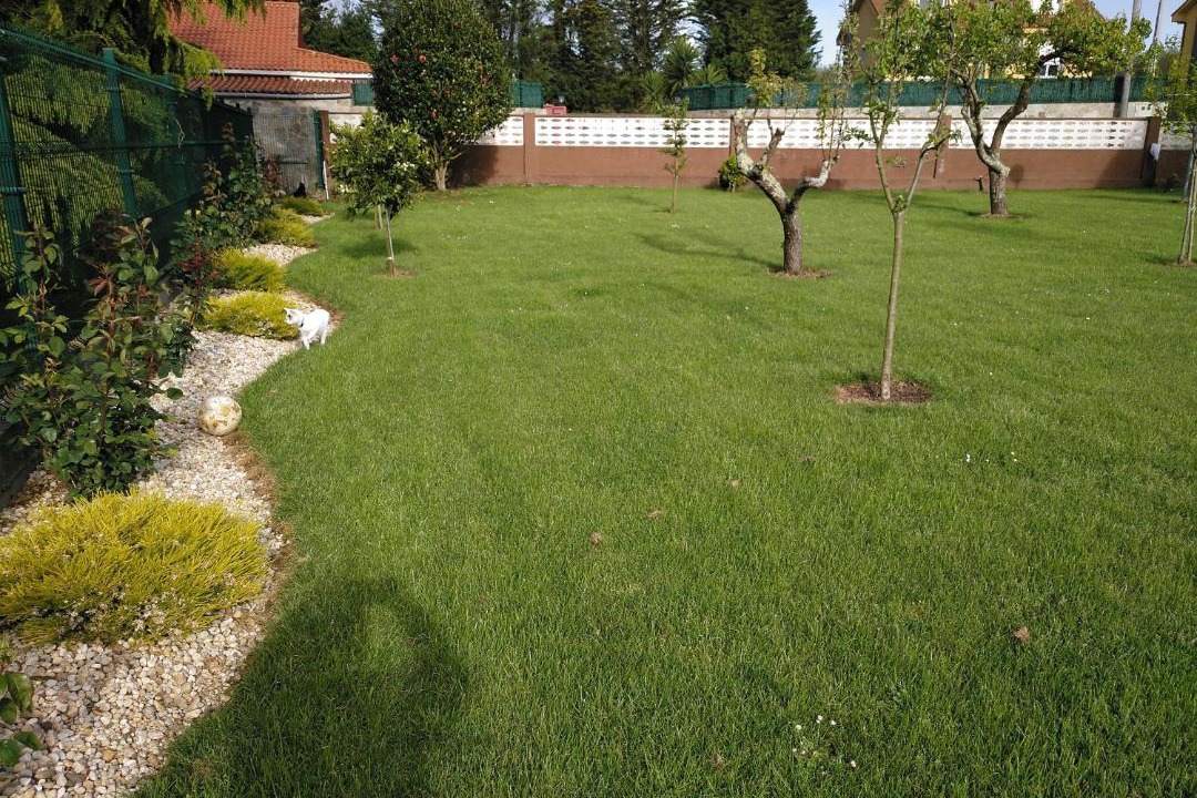 Photo of Outdoor in Souto